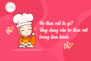 Bơ thực vật là gì?
