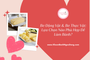 Bơ Động Vật Và Bơ Thực Vật: Lựa Chọn Nào Phù Hợp Để Làm Bánh?